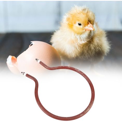 Rundheizelement für Inkubatoren, Inkubatorzubehör (300W, klein, rund) (1/5)