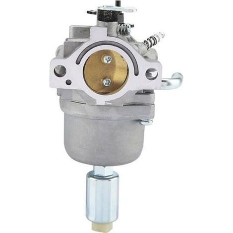 14.5hp - 21hp Carburateur pour Briggs & Stratton Carb 796109,591731,594593 HAN9