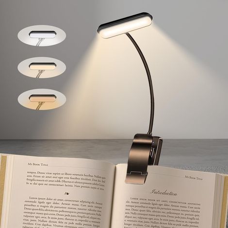 Lampe de Lecture 2 LED, Liseuse Clip Rechargeable, 360° Cou Flexible,Gradation en Continu & 3 Couleurs (Ambre/Blanc/Mixte), Longue DuréeProtection des Yeux, Léger & Portable pour Lire au Lit-(noir)
