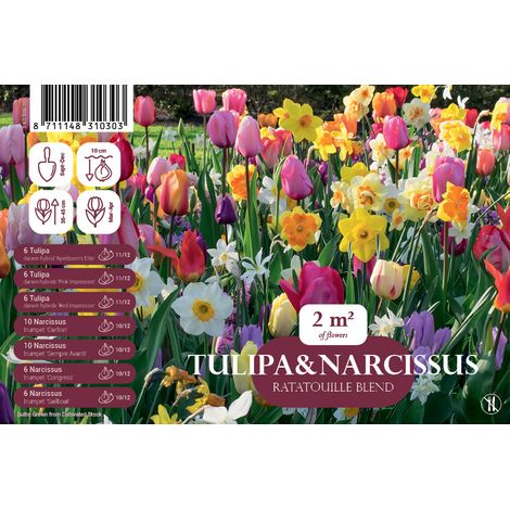 Vilmorin Tulipes et Narcisses en mélange (x50)