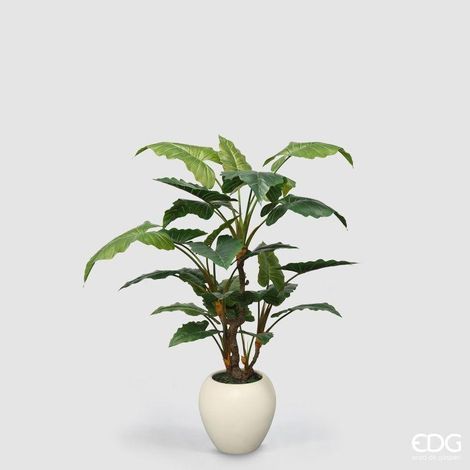 EDG Enzo De Gasperi Pianta Artificiale Alocasia Vogue con Vaso H 180 Cm – Pianta Decorativa Realistica Design Moderno