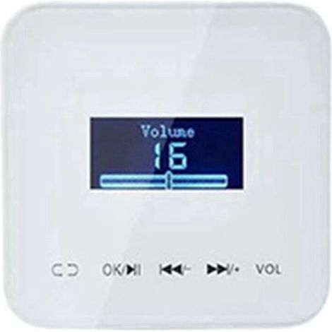 Contrôle du volume mural intelligent pour maison connectée avec amplificateur audio 20 W x 2 canaux, étanche (blanc) (1/4)