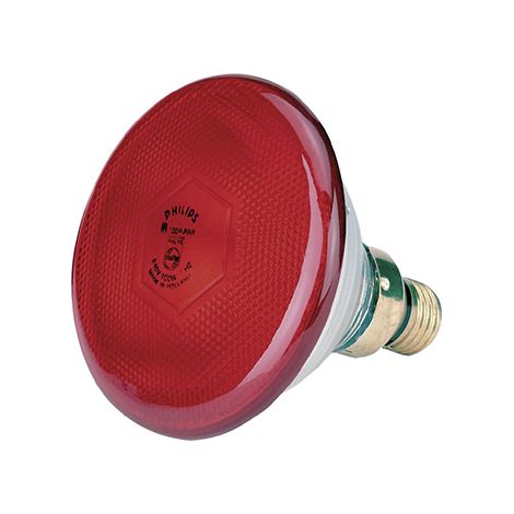 Kerbl Bulb Bullfights Philips 100 W, rot