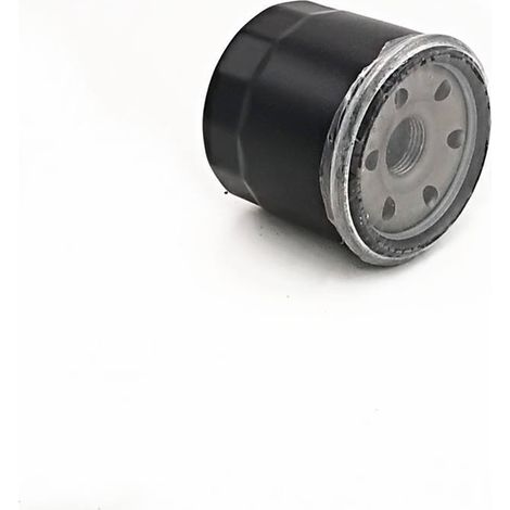 Ölfilter für HISUN ATVs/Motorräder 250 400 500 550 700 750 (Hisun 750) (1/5)