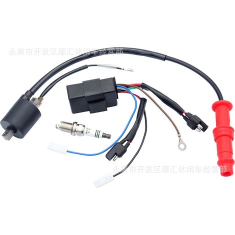 Connecteur de collecteur d'admission compatible avec Yamaha TTR125 125E 125LE 5HP-13586-00-00 (1/5)