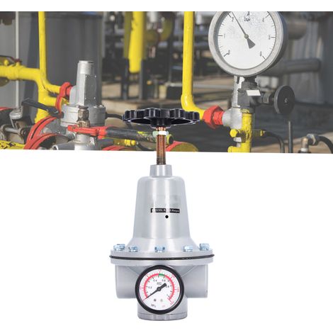 Vanne de réduction de pression d'air pneumatique de taille moyenne série QTY QTY-25 pour processeurs à source d'air (1/5)