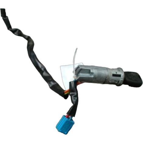 Antivol De Direction PEUGEOT 206 1998-2009 [PRODUIT D'OCCASION]♻️4162z1 (1/4)