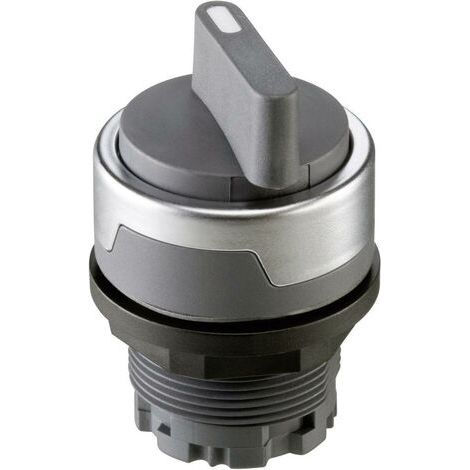 Schlegel RMCSTA RMCSTA Bouton sélecteur gris-argent 1 x 90 ° 1 pc(s) D77906 (1/5)
