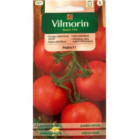 Pomodoro da serra Pedro 0,1 g varietà tardiva Vilmorin semi