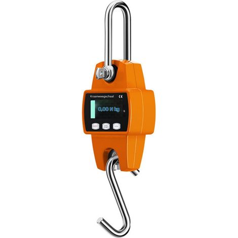 Balance de levage - Aluminium - 300 kg - Pour ports, pêche, acier, entrepôts - Affichage LCD - Alimentation 3 piles AAA (1/5)