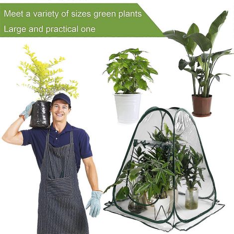 Mini serre d'hivernage pour plantes - Tente de protection hivernale (1/5)
