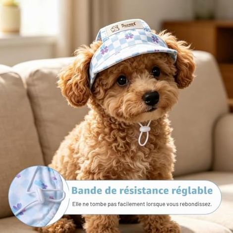 Lot de 2 chapeaux de protection solaire pour chien et chat, ajustables et munis d'ouvertures pour les oreilles. Idéaux pour les activités sportives en extérieur, parfaits pour l'été et adaptés aux cha (1/3)