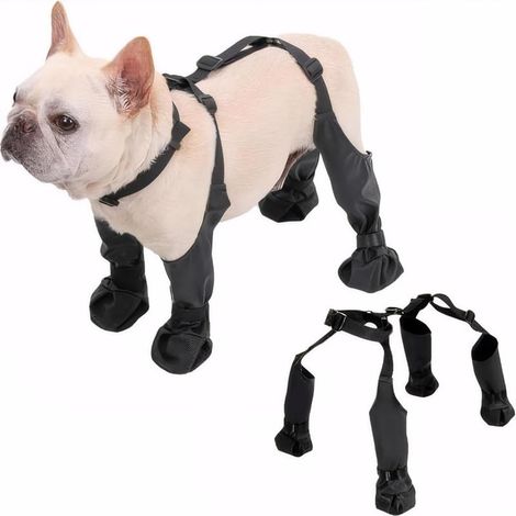 Bottes imperméables pour chiens de petite et moyenne taille - Protection des pattes, chaussures antidérapantes pour animaux, idéales pour les promenades en extérieur, réfléchissantes et résistantes au (1/5)
