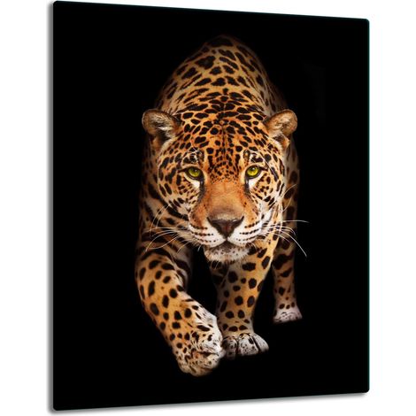PIASTRA DI PROTEZIONE IN VETRO PER PIANO A INDUZIONE 40x52 CAT NERO (1/5)