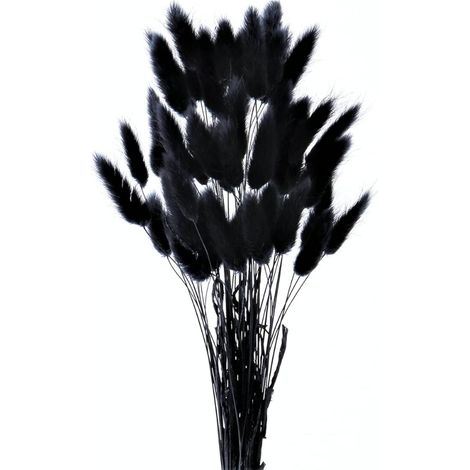 Fleur Sechees Decoration, Décoration Pampas Séchées Herbes Pampa Séchées Naturelle Décoration, Fleur Sechees Decoration Maison Table Boho Mariage Anniversaire Intérieure (1/5)