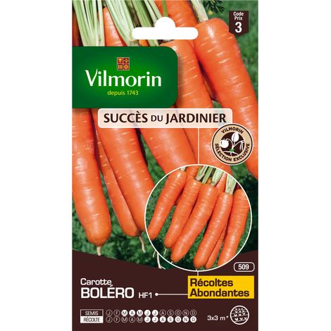 Carotte Boléro HF1 Vilmorin