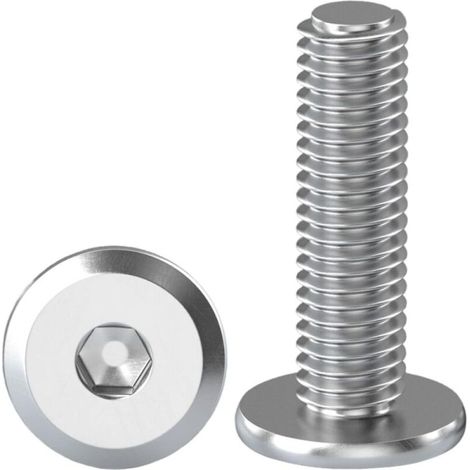 10 Pièces Vis à Tête Plate Avec Six Pans Creux M8 X 25 mm Boulons à Tête Plate Hexagonale en Acier Inoxydable A2 V2A Vis à Tête Cyli (1/5)