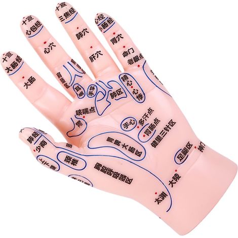 Modèle Affichage Précis des Points D'acupuncture Rose Facile à Nettoyer de Main D'acupuncture en Pvc pour Enseignement en Médecine Traditionnelle et Institutions Médicales (1/5)