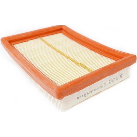 Filtre LOMBARDINI 2175172 (1/5)