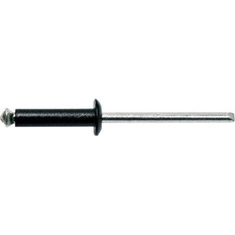 Lot de 50 rivets éclatés noirs GOSTAR TRS standard DEGOMETAL - 4 x 16 mm