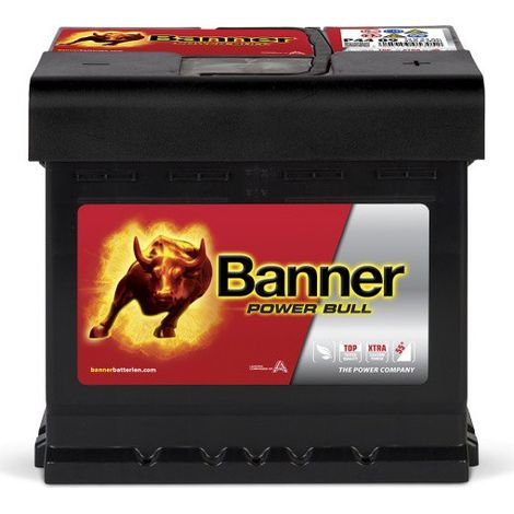 Batterie voiture 12V 44Ah P4409 – Puissance de démarrage 420A – Technologie plomb-calcium sans entretien – Pour voitures et camionnettes – Banner