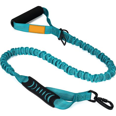 Laisse réfléchissante pour chien, absorbant les chocs, avec poignée rembourrée confortable et adaptée à une utilisation en circulation, bleue (1/5)