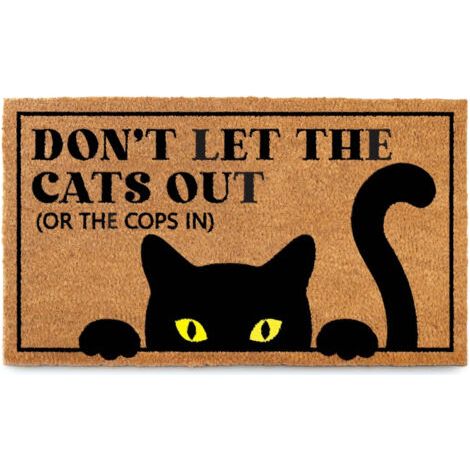 Tapis d'Entrée Amusant Motif Chat - 40 x 60 cm - Antidérapant Décoratif (1/3)