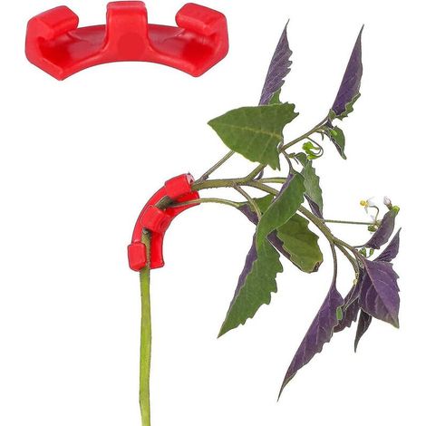 Packung mit 30 rechtwinkligen (90°) Gartenclips für die LST-Technik (Low Stress Training) – Rot (1/4)