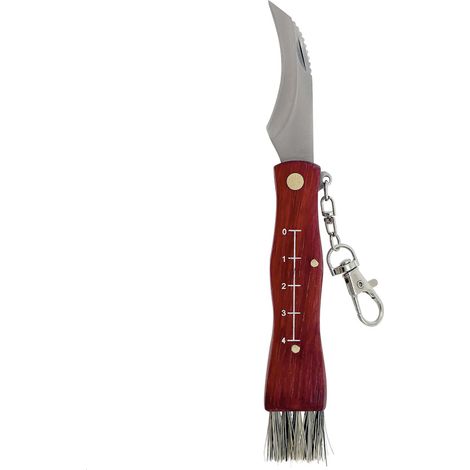 Coltello da Raccolta Multifunzione con Spazzola Integrata Lama 5,5 cm in Acciaio e Legno (1/4)