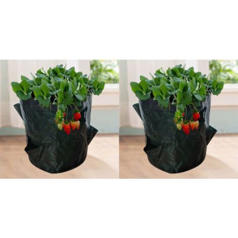 Strawberry Grow Bags, 2PCS 18L/5 Gallon Vegetable Bags, Non-woven Fabric Planting Bag with Window, Garden Vegetable Bag (23X28CM (4 ports))