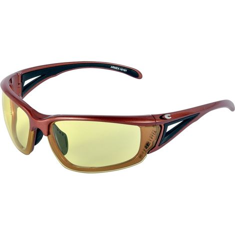 Gafas de securidad Cofra Armex E003-B120