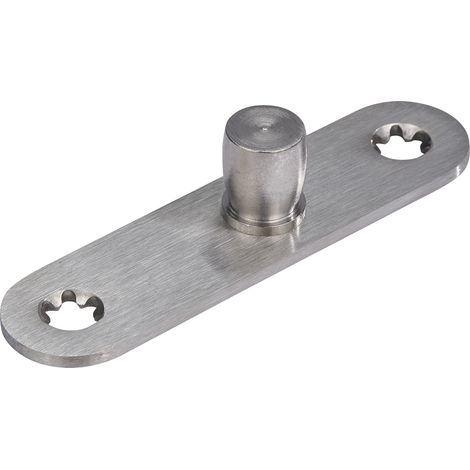 Zapfen DORMA PT24, ø 15 mm, mit Anschraublasche , Alu silber eloxiert (01.123)  Glastürbeschlag - Zubehör dormakaba (1/3)