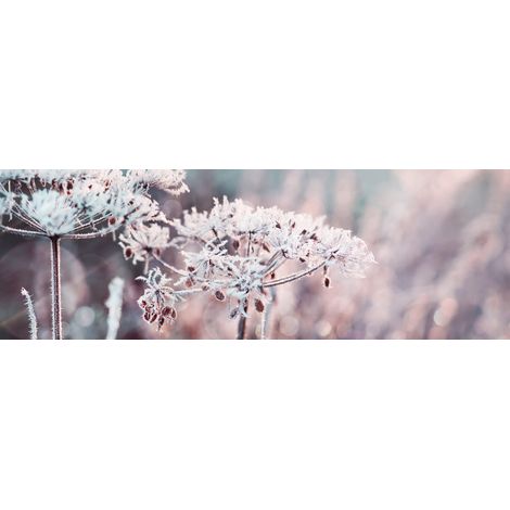 Tableau sur toile fleur enneigée 30x97 cm - Impression sur Toile Murale Décorative - Image imprimée en HD sur Toile - Toile sur Châssis en Bois FSC - Fabriqué en France