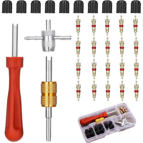 Kit de Dépose de Valve de Pneu de 33 Pcs avec 20 Obus de Valve, Extracteurs de Noyau de Valve à Double et à Une Tête, 4 Outils de Valve et 10 Capuchons de Valve de Pneu (1/5)