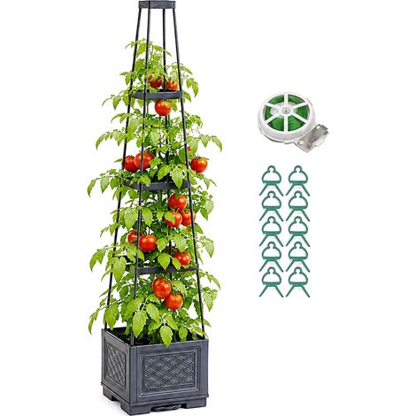 Raised with Lattice, Tomato Stake with Drainage System Tomato Planter, Root System Protection Tomato Support, Trellis for Climbing Plants (1/5)
