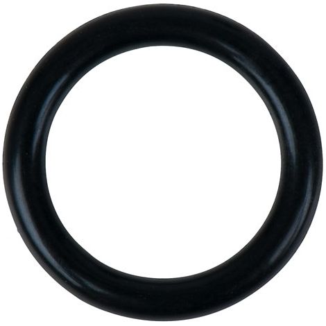 O-Ring (1/2)