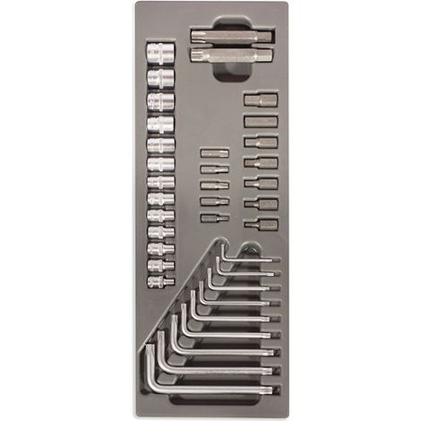 TERMOFORMATO RIGIDO COMPLETO DI 36 CHIAVI TORX BUSSOLE E INSERTI UTENSILI SOGI (1/2)