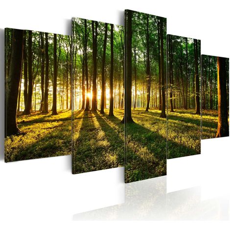 Quadro - Avventura nel bosco - 200x100 (1/4)