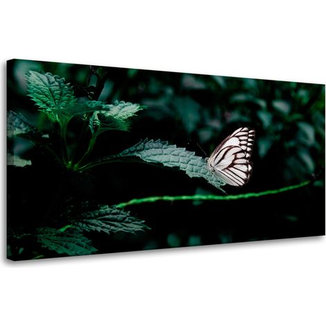 Leinwanddruck Natur Schmetterling auf einem Blatt 80x40 cm