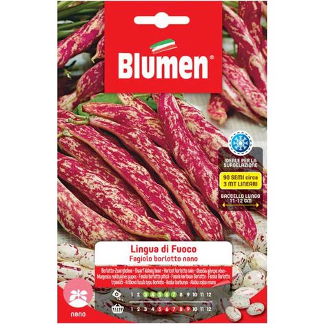SEMI FAGIOLI BORLOTTI NANI LINGUA DI FUOCO BLUMEN