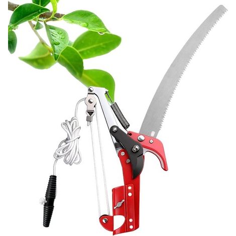 Scie télescopique de jardin pour l'entretien des arbres, outil de coupe réglable et robuste, pour branches, palmiers, haies, pelouses, jardins et terrasses. (1/5)