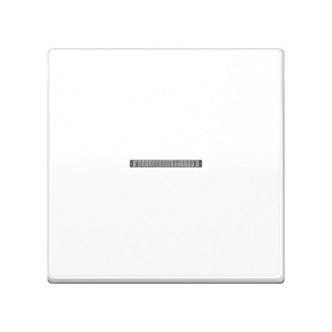JUNG AS591KO5B FSWW BASCULE POUR INTERRUPTEUR DE CONTRÔLE AVEC JACK POUR CHRAUBBE