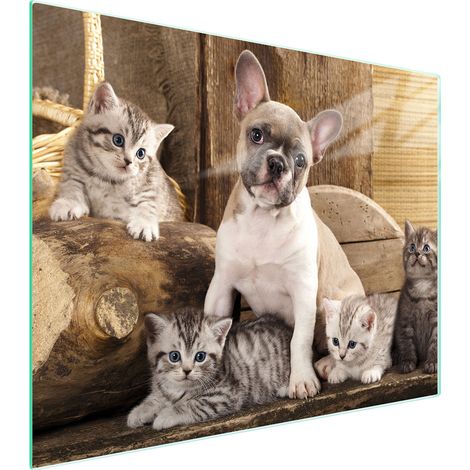 Glasschneidebrett 52x40 Hund (1/5)
