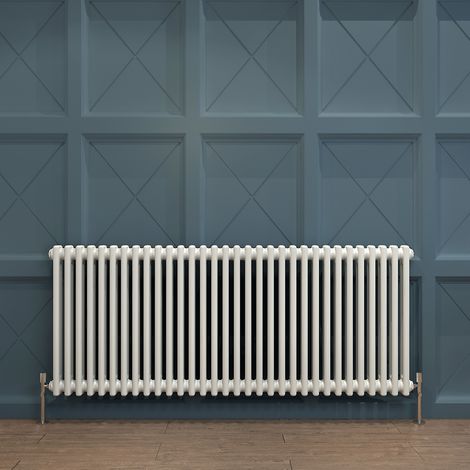 Biubiubath Traditional Cast Iron Radiator 600x1460mm 2 Column White (1/5)