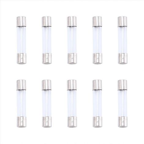 10 Fusibles Verre 6x30mm 250V 10A, Cartouche Type Rapide, Lot de 10 (1/5)