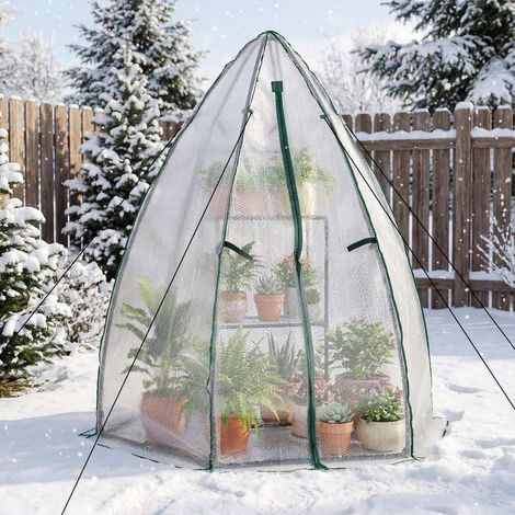 Mini Serre de Jardin Walk-In Hivernage Plantes Bâche à Bulles 3 Couches Isolante Structure Métallique (1/5)
