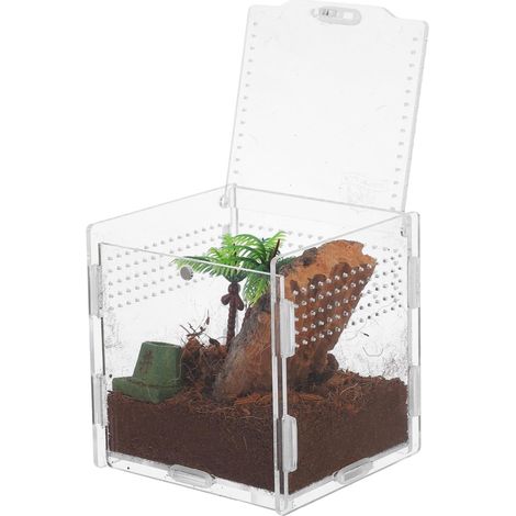 Acrylic Box for Jumping Spider and Insect Habitat, Easy to Observe and Protect the Natural Environment, for Home Use (1/5)