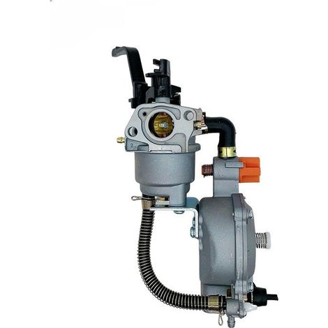 Groupe électrogène bicarburant 168, version à carburateur manuel pour GPL/GN 2 kW/3 kW GX160 168F 170F