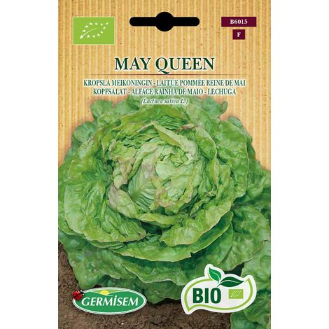 Bio Graines Laitue pommée Reine de mai MAY QUEEN