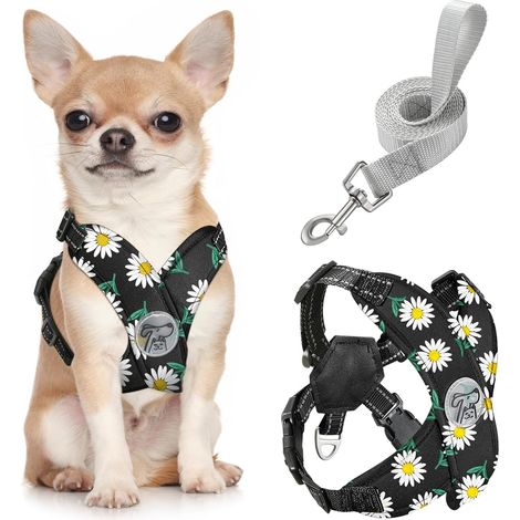 Harnais pour Chiens avec Laisse, Harnais Sécurisé Anti-Traction en Forme de X, Veste pour Chiens de Petite & Moyenne Taille, Ceinture de Sécurité d'animaux Réglable, S, Marguerite Noire (1/5)